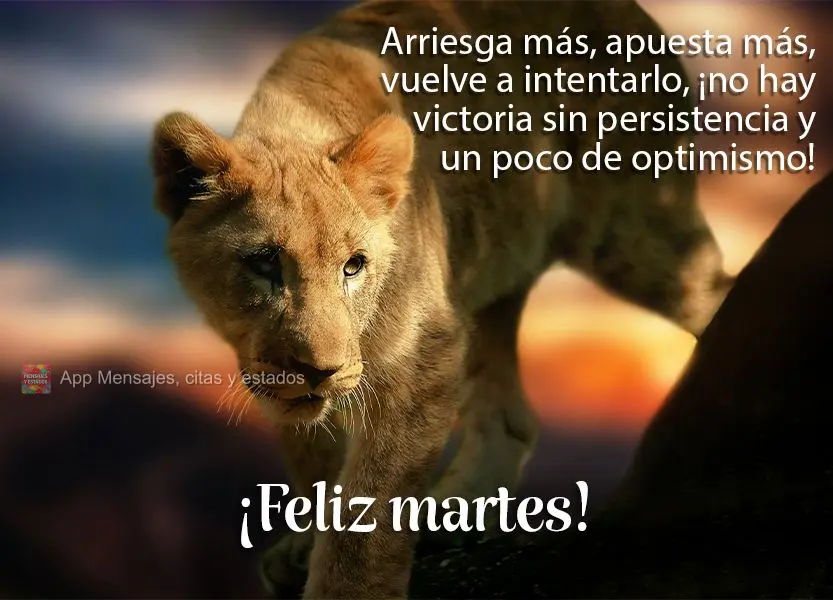 Arriesga más, apuesta más, vuelve a intentarlo, ¡no hay victoria sin persistencia y un poco de optimismo! ¡Feliz martes!