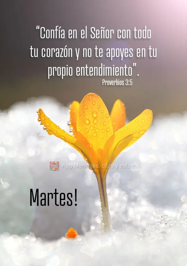 “Confía en el Señor con todo tu corazón y no te apoyes en tu propio entendimiento”. Proverbios 3:5