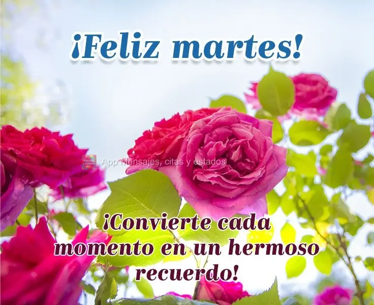¡Convierte cada momento en un hermoso recuerdo! ¡Feliz martes!