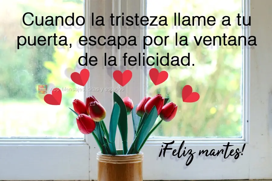 Cuando la tristeza llame a tu puerta, escapa por la ventana de la felicidad. ¡Feliz martes!