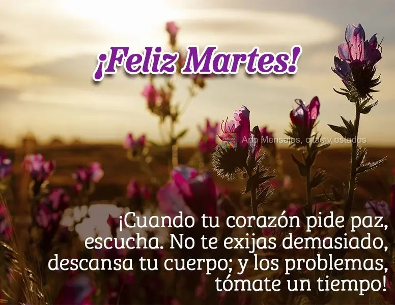 ¡Cuando tu corazón pide paz, escucha. No te exijas demasiado, descansa tu cuerpo; y los problemas, tómate un tiempo! ¡Feliz martes!