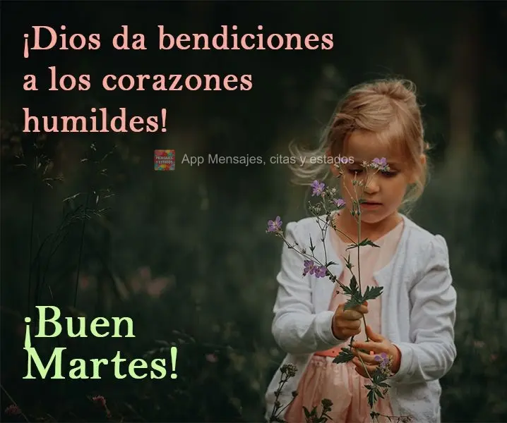 ¡Dios da bendiciones a los corazones humildes! ¡Buen martes!