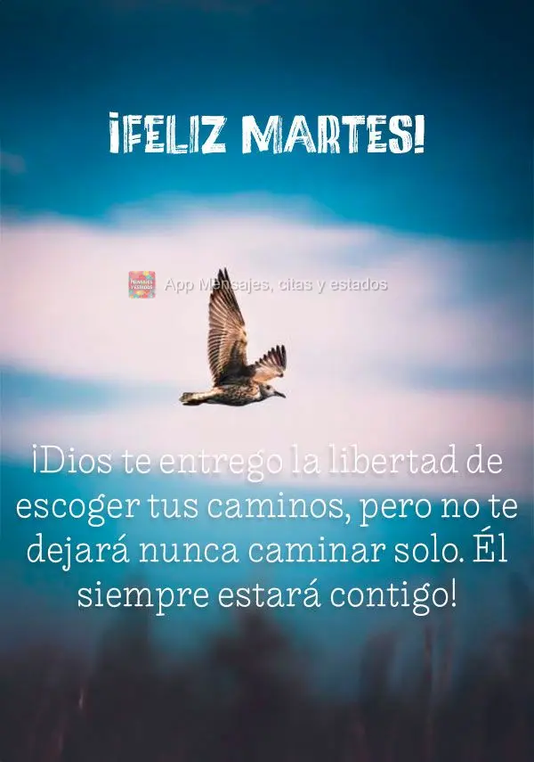 ¡Dios te entrego la libertad de escoger tus caminos, pero no te dejará nunca caminar solo. Él siempre estará contigo! ¡Feliz Martes!
