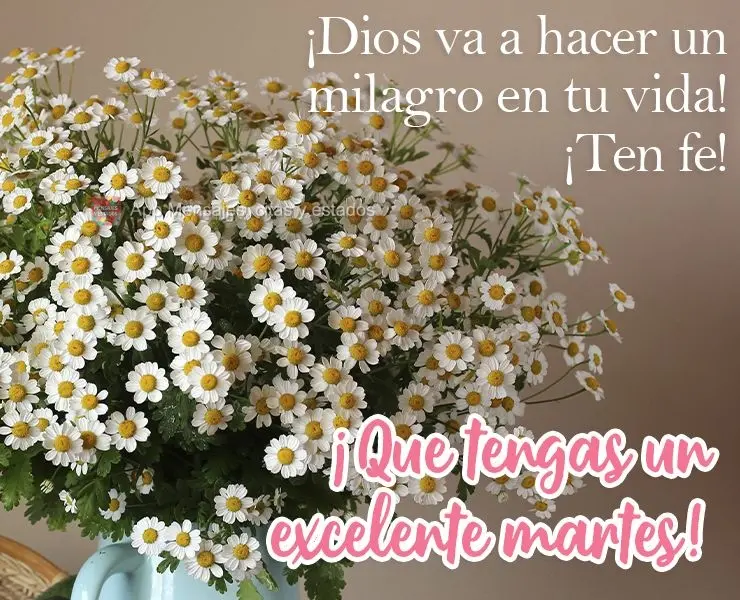 ¡Dios va a hacer un milagro en tu vida! ¡Ten fe! ¡Que tengas un excelente martes!