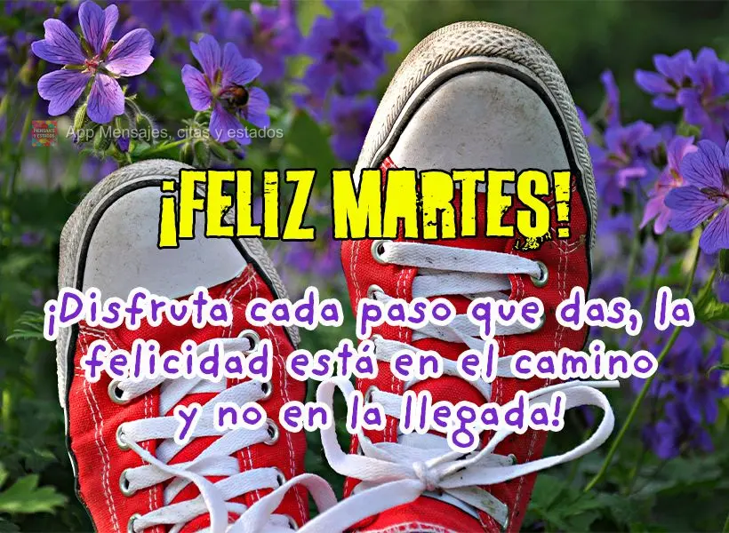 ¡Disfruta cada paso que das, la felicidad está en el camino y no en la llegada! ¡Feliz martes!