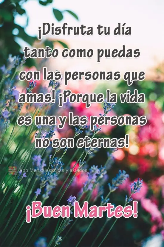 ¡Disfruta tu día tanto como puedas con las personas que amas! ¡Porque la vida es una y las personas no son eternas! ¡Buen martes!