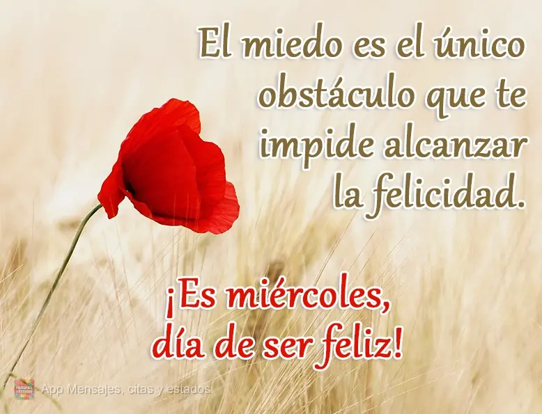 El miedo es el único obstáculo que te impide alcanzar la felicidad. ¡Es miércoles, día de ser feliz!