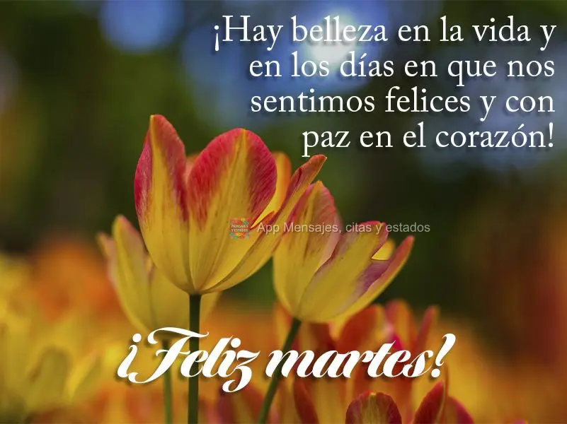¡Hay belleza en la vida y en los días en que nos sentimos felices y con paz en el corazón! ¡Feliz martes!
