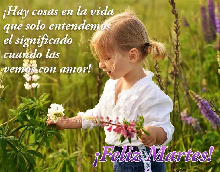 ¡Hay cosas en la vida que solo entendemos el significado cuando las vemos con amor! ¡Feliz martes!