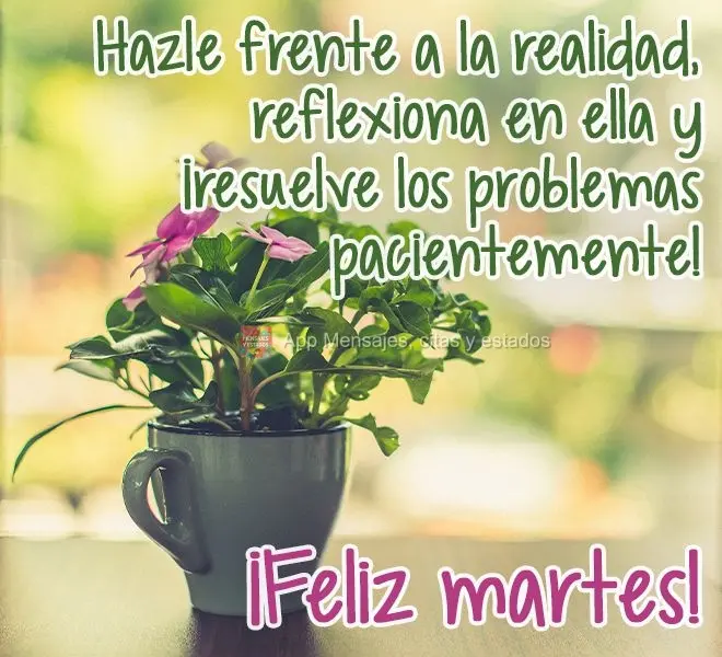 Hazle frente a la realidad, reflexiona en ella y ¡resuelve los problemas pacientemente! ¡Feliz martes!