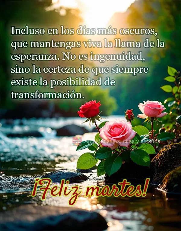 Incluso en los días más oscuros, que mantengas viva la llama de la esperanza. No es ingenuidad, sino la certeza de que siempre existe la posibilidad de...