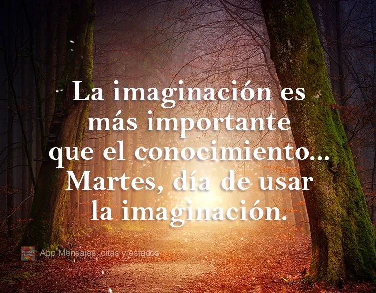 La imaginación es más importante que el conocimiento. Martes, día de usar la imaginación.
