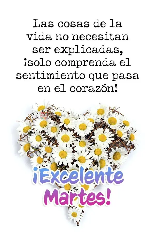 Las cosas de la vida no necesitan ser explicadas, ¡solo comprenda el sentimiento que pasa en el corazón! ¡Excelente martes!