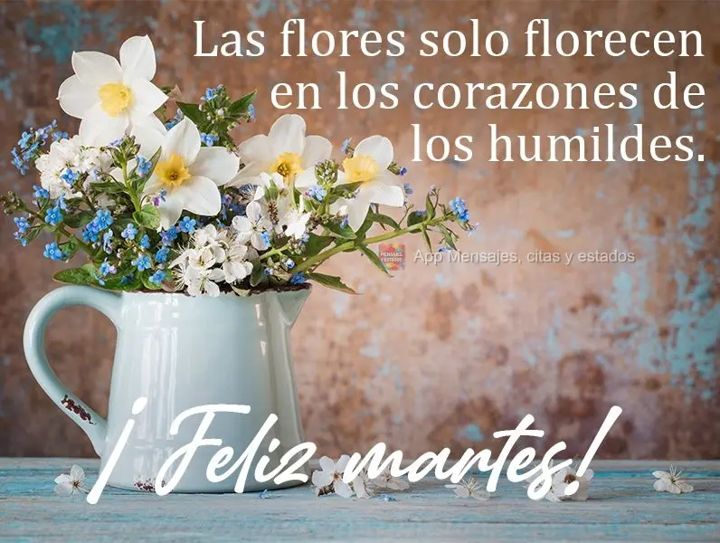 Las flores solo florecen en los corazones de los humildes. ¡Feliz martes!