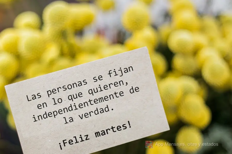 Las personas se fijan en lo que quieren, independientemente de la verdad. ¡Feliz martes!
