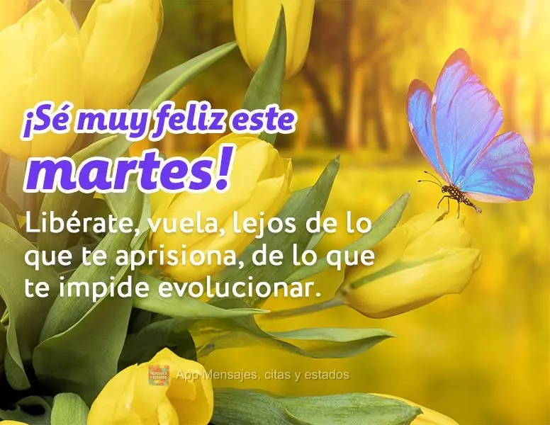 Libérate, vuela, lejos de lo que te aprisiona, de lo que te impide evolucionar. ¡Sé muy feliz este martes!