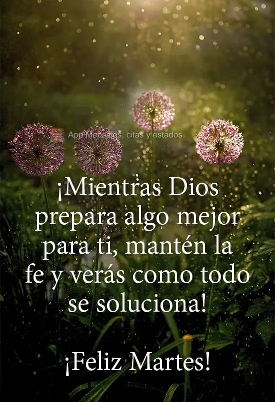 ¡Mientras Dios prepara algo mejor para ti, mantén la fe y verás como todo se soluciona! ¡Feliz martes!