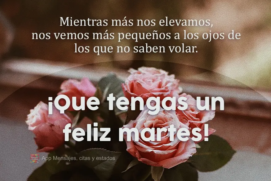 Mientras más nos elevamos, nos vemos más pequeños a los ojos de los que no saben volar. ¡Que tengas un feliz martes!