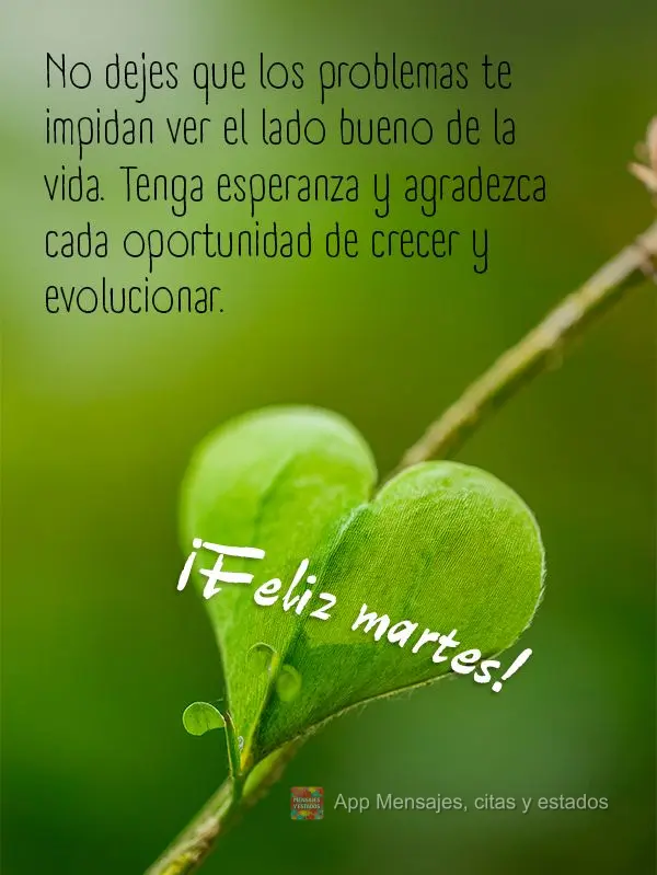 No dejes que los problemas te impidan ver el lado bueno de la vida. Tenga esperanza y agradezca cada oportunidad de crecer y evolucionar. ¡Feliz martes!...