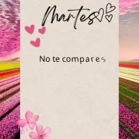 No te compares con los demás, cada uno tiene su propio camino y tiempo para la lograr lo que quiere. Martes