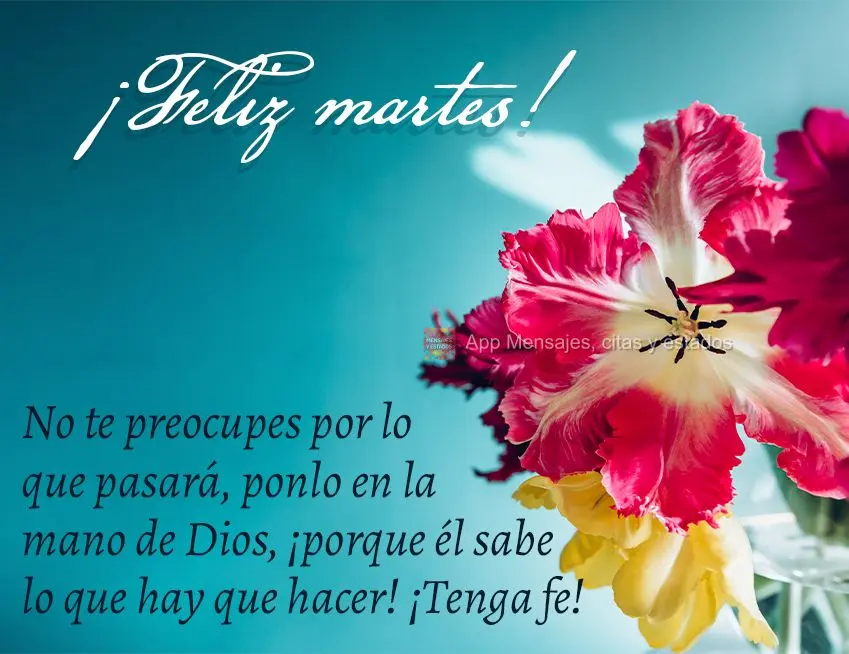 No te preocupes por lo que pasará, ponlo en la mano de Dios, ¡porque él sabe lo que hay que hacer! ¡Tenga fe! ¡Feliz martes!