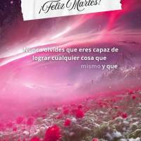 Nunca olvides que eres capaz de lograr cualquier cosa que desees. Cree en ti mismo y que tengas un día increíble. ¡Feliz martes!