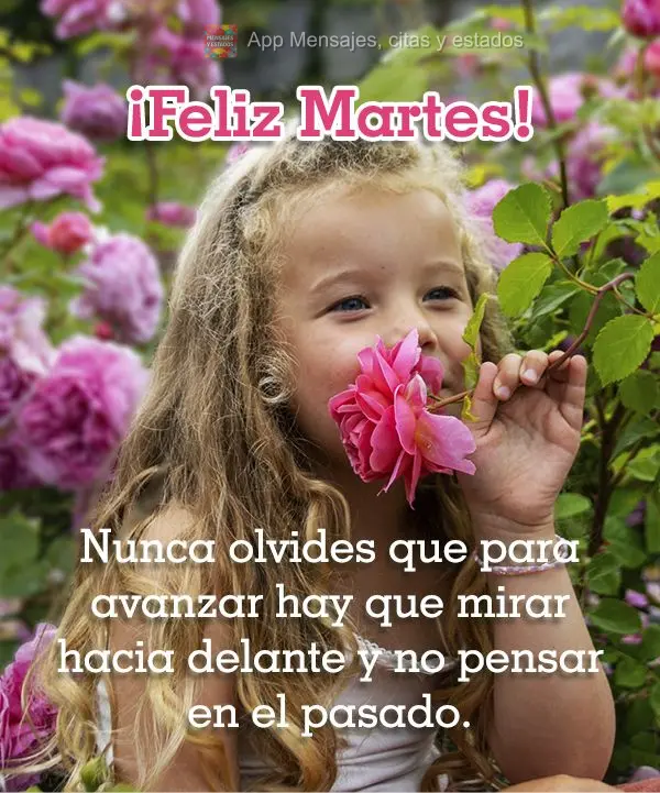Nunca olvides que para avanzar hay que mirar hacia delante y no pensar en el pasado. ¡Feliz martes!