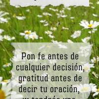Pon fe antes de cualquier decisión, gratitud antes de decir tu oración, ¡y tendrás una vida llena de bendiciones! ¡Feliz martes!