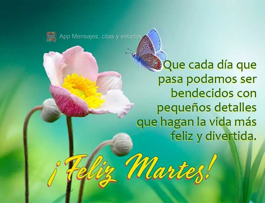 Que cada día que pasa podamos ser bendecidos con pequeños detalles que hagan la vida más feliz y divertida. ¡Feliz martes!