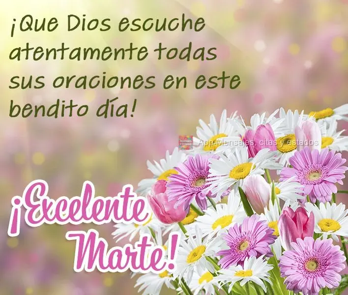¡Que Dios escuche atentamente todas sus oraciones en este bendito día! ¡Excelente marte!