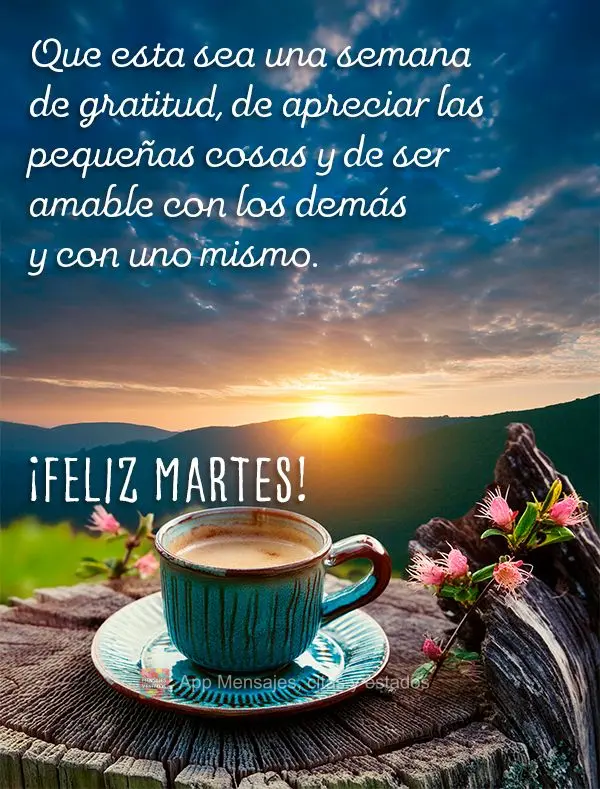 Que esta sea una semana de gratitud, de apreciar las pequeñas cosas y de ser amable con los demás y con uno mismo. ¡Feliz martes!