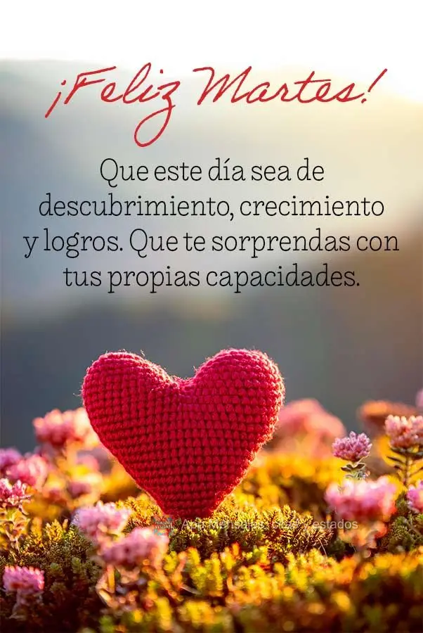 Que este día sea de descubrimiento, crecimiento y logros. Que te sorprendas con tus propias capacidades. ¡Feliz Martes!
