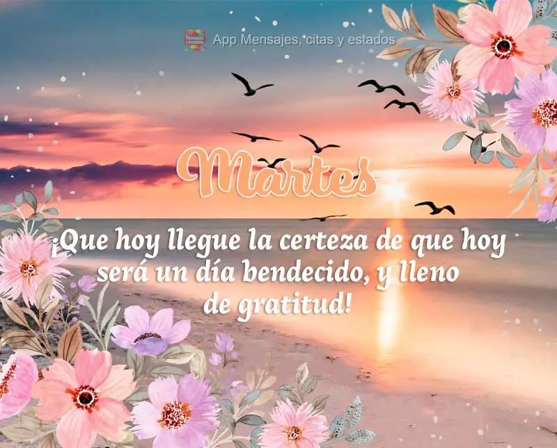 ¡Que hoy llegue la certeza de que hoy será un día bendecido, y lleno de gratitud! Martes