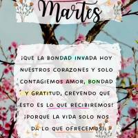 Martes
¡Que la bondad invada hoy nuestros corazones y solo contagiemos amor, bondad y gratitud, creyendo que esto es lo que recibiremos! ¡Porque la vi...
