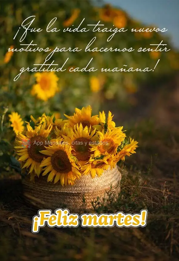 ¡Que la vida traiga nuevos motivos para hacernos sentir gratitud cada mañana! ¡Feliz martes!