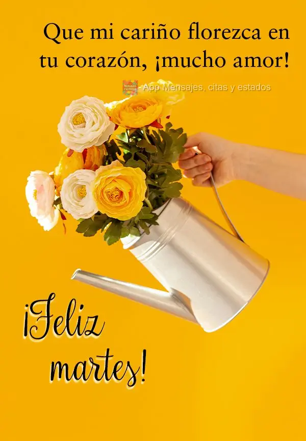 Que mi cariño florezca en tu corazón, ¡mucho amor! ¡Feliz martes!