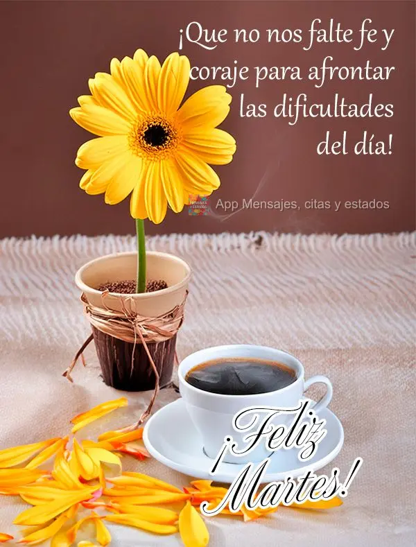 ¡Que no nos falte fe y coraje para afrontar las dificultades del día! ¡Feliz martes!