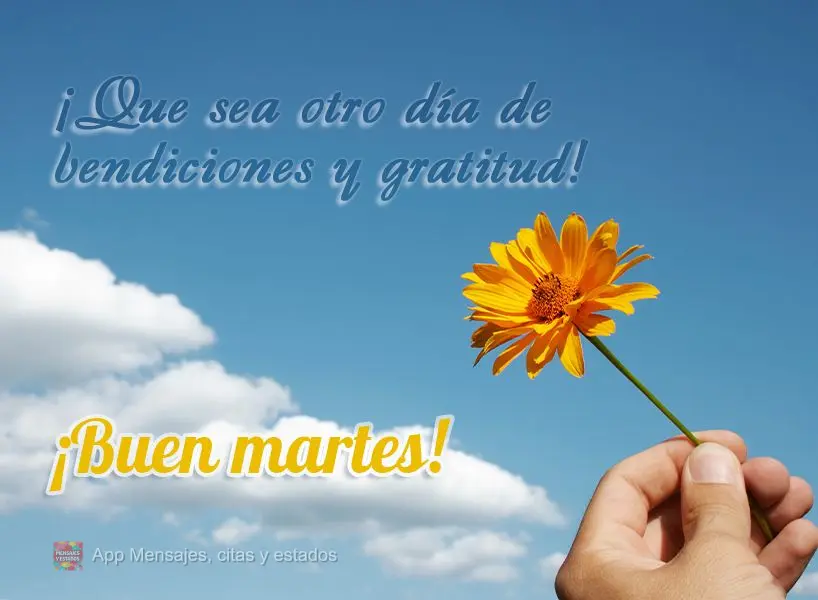 ¡Que sea otro día de bendiciones y gratitud! ¡Buen martes!
