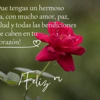 ¡Que tengas un hermoso día, con mucho amor, paz, salud y todas las bendiciones que caben en tu corazón! ¡Feliz martes!