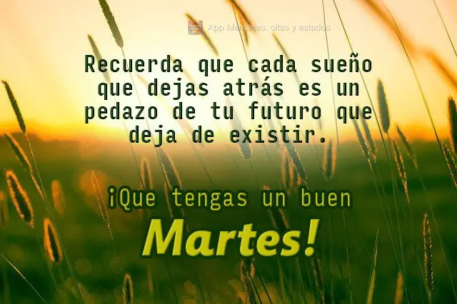 Recuerda que cada sueño que dejas atrás es un pedazo de tu futuro que deja de existir. ¡Que tengas un buen martes!