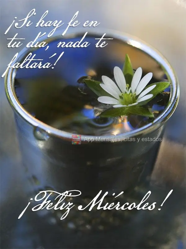 ¡Si hay fe en tu día, nada te faltará! ¡Feliz miércoles!
