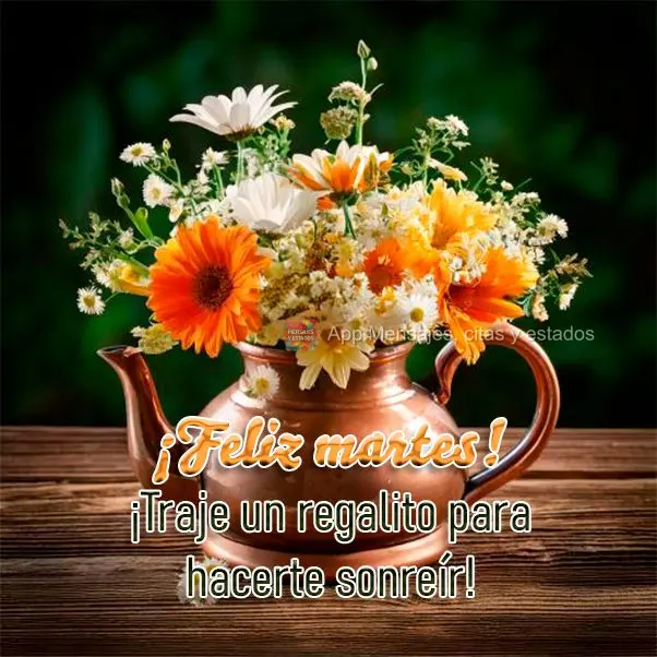 ¡Traje un regalito para hacerte sonreír! ¡Feliz martes!