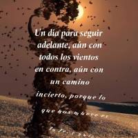 Un día para seguir adelante, aún con todos los vientos en contra, aún con un camino incierto, porque lo que nos mueve es la fe, y quien es resiliente ...