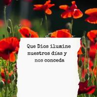 Que Dios ilumine nuestros días y nos conceda bendiciones y abundancia. Que siempre estemos agradecidos por las alegrías de la vida y felices con la bue...