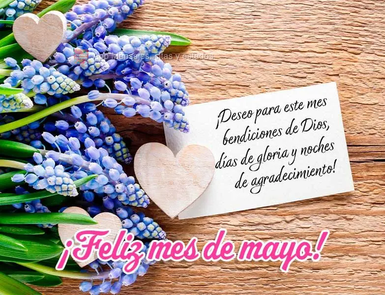 ¡Deseo para este mes bendiciones de Dios, días de gloria y noches de agradecimiento! ¡Feliz mes de mayo!