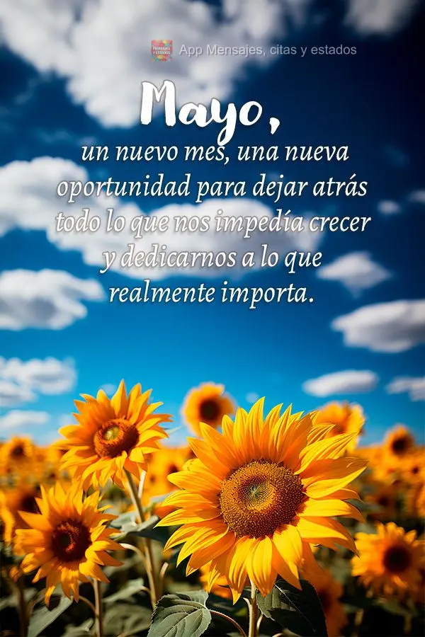 Mayo, un nuevo mes, una nueva oportunidad para dejar atrás todo lo que nos impedía crecer y dedicarnos a lo que realmente importa.