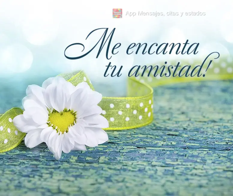 Me encanta tu amistad!