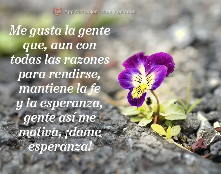 Me gusta la gente que, aun con todas las razones para rendirse, mantiene la fe y la esperanza, gente así me motiva, ¡dame esperanza!