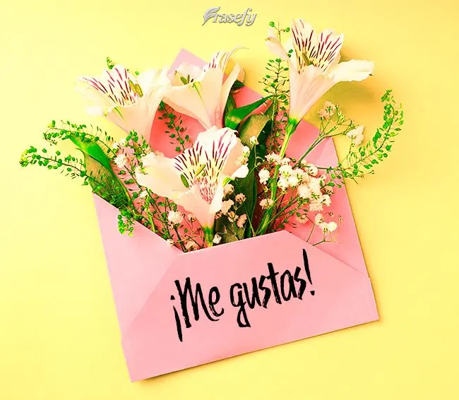 ¡Me gustas!