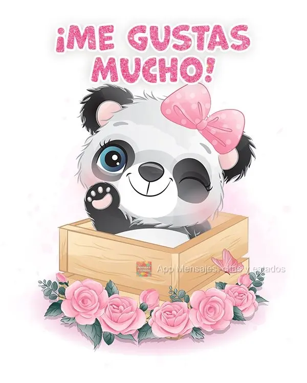 ¡Me gustas mucho!